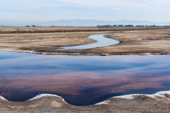 John Lunceford dot com-.jpg