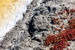 John Lunceford dot com-3017.jpg