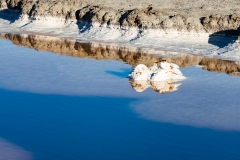 John Lunceford dot com-3851.jpg