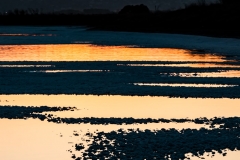 John Lunceford dot com-4760.jpg