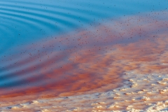 John Lunceford dot com-9891.jpg