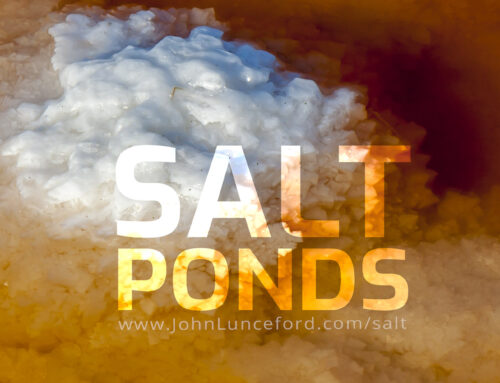 Salt Ponds of the South Bay