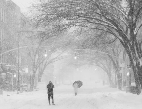 Snowy Brooklyn Winters