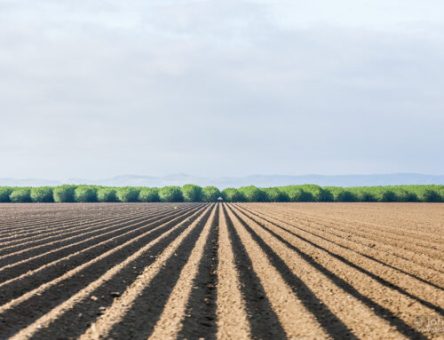 San Joaquin Valley